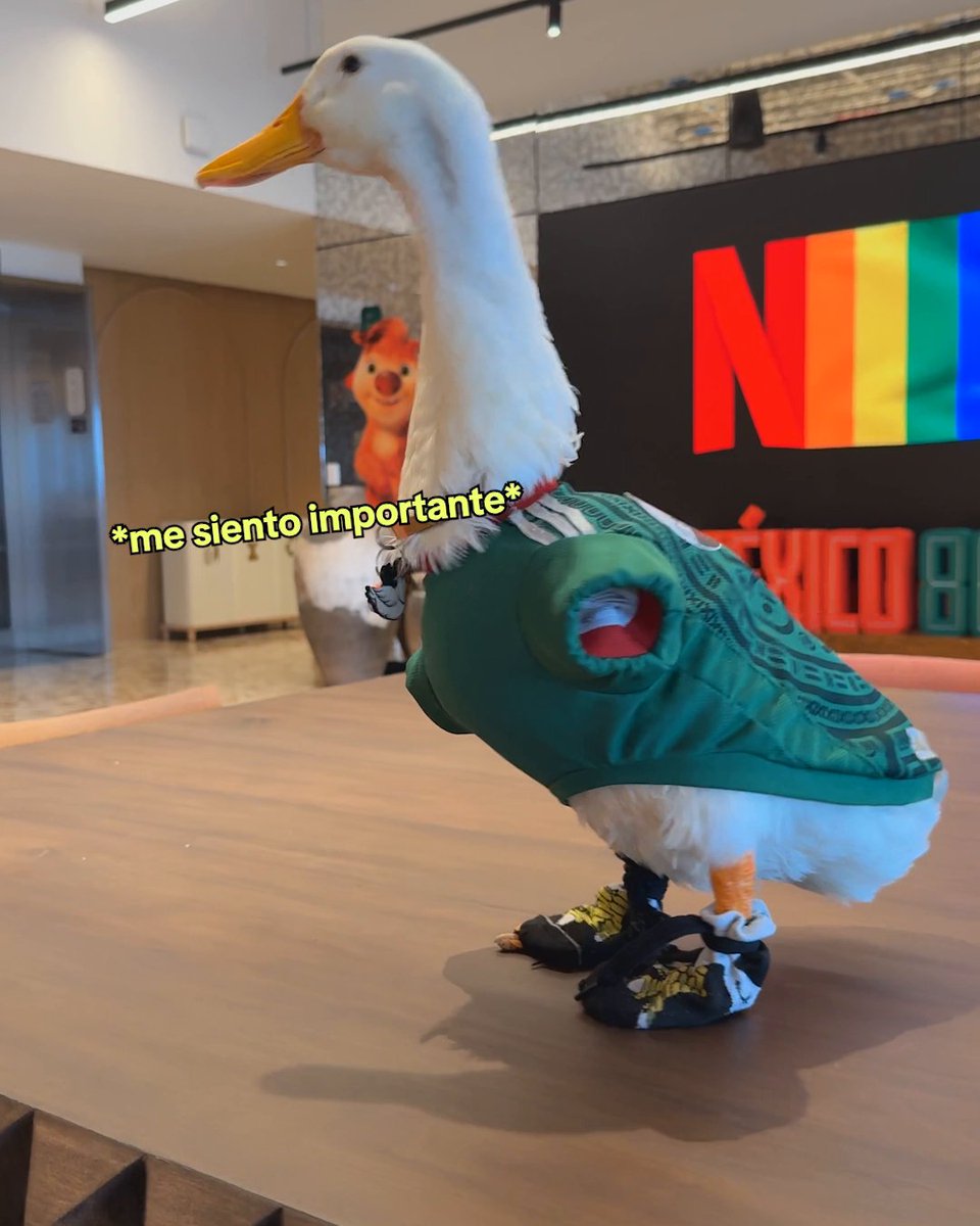 No estaba preparado para esta hermosa visita en la oficina de Netflix México 😭 Te quiero mucho, Merlín 🦆 ❤️