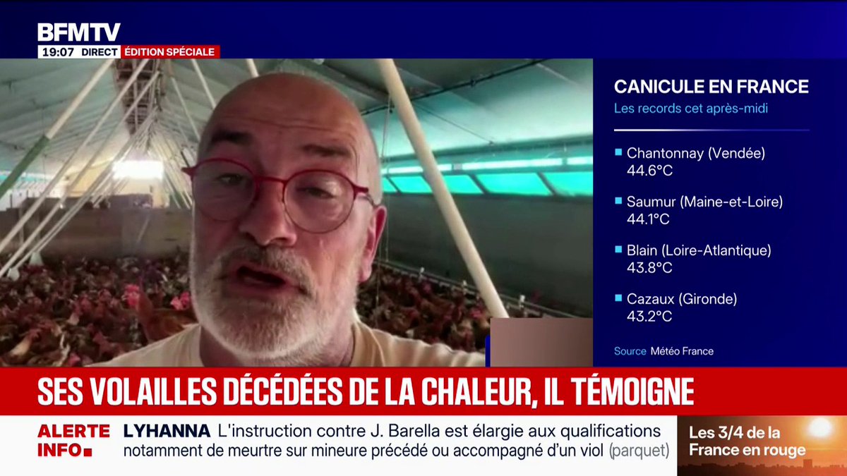 "C'est quelque chose de très dur pour un éleveur": ses volailles décèdent à cause de la chaleur, il témoigne sur BFMTV