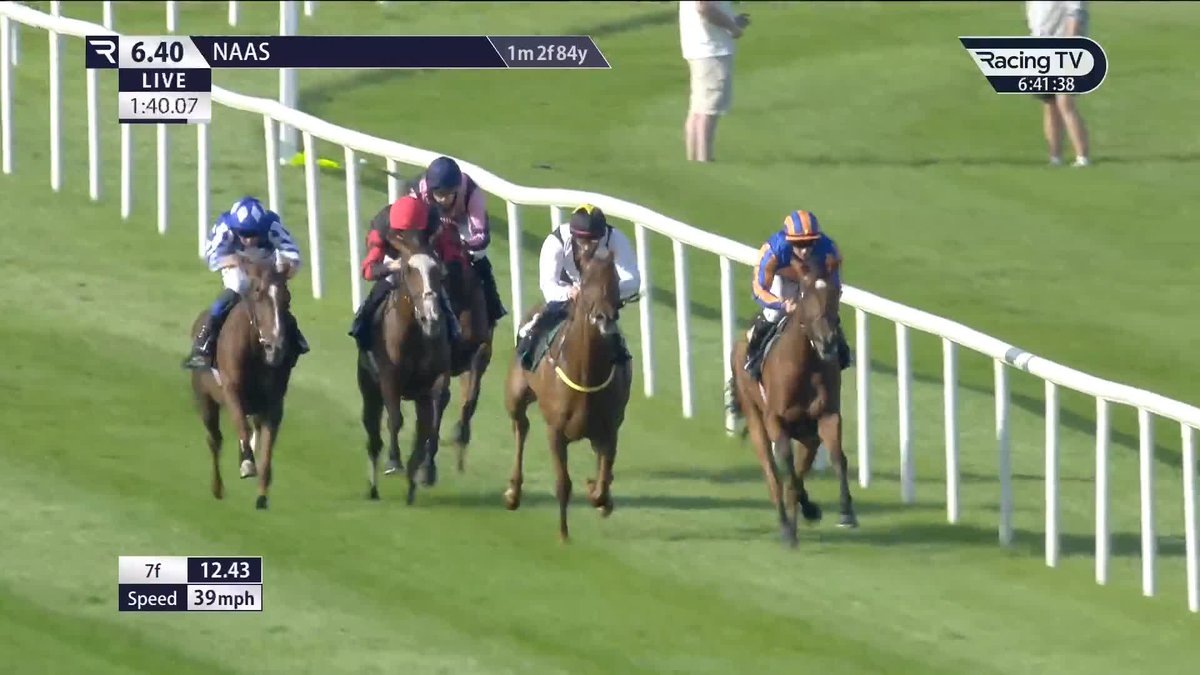 Cracking finish to the G3 feature Naas Racecourse! Rebel Moon lands the spoils to remain unbeaten ✅