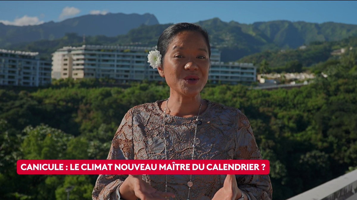 🔴 🗣️ Adaptation, l'exemple polynésien "Dès sept heures du matin, administrations, chantiers et écoles tournent à plein régime pour devancer les heures de plomb de l'après-midi", explique Laurence Aiata Tarahu, journaliste Tahiti la 1ere. Loïc de La Mornais #SurLeTerrain #Canal16
