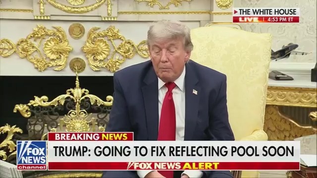 Trump on the Reflecting Pool: "They came in and they cut it and then they grabbed it and they pulled it up. That's why it's all ripped. Who would even think of it?"