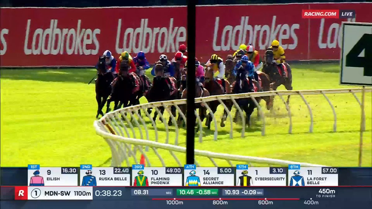 Bendigo Race 1 | Sharaz What a debut performance! ๐ฎ Mitchell Freedman ๐บ Ch. 78/68, Foxtel 529, Kayo or via our app REPLAYS: