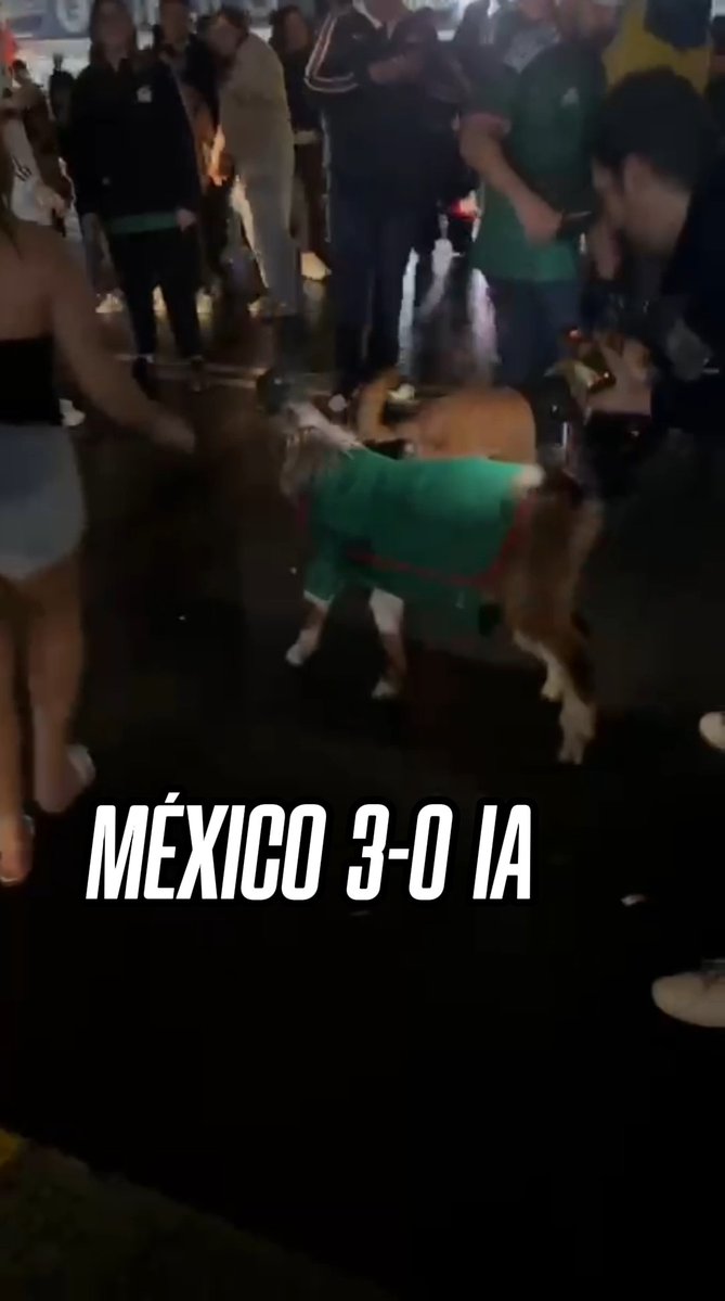 -Una cabra y un perrito celebrando por la selección -Un alien bailando 'La Chona' -Regalando shots desde una camioneta 🤣 ¡TODO ESTO EN UNA SOLA TOMA!