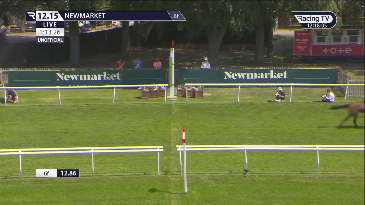 👏 Another fabulous finish as Havana Sprite & Glorious Game dead-heat in the £45,000 Listed feature Newmarket Racecourses