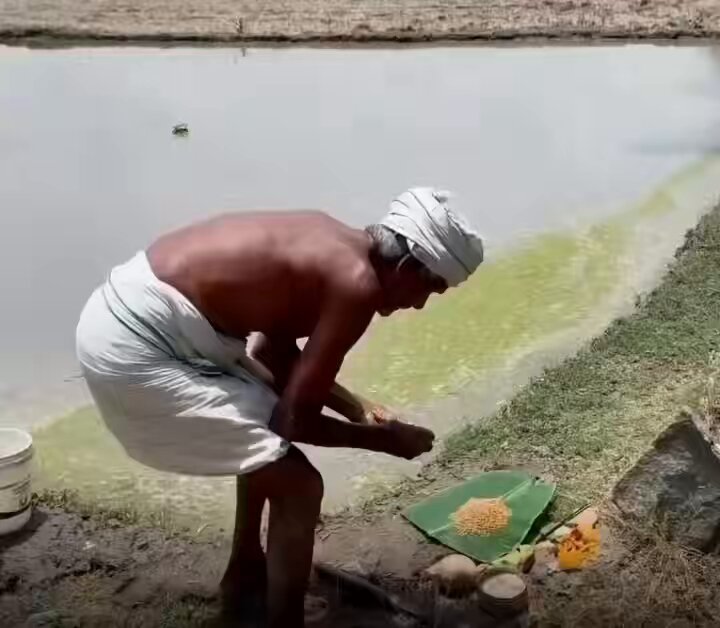 How can anyone hate a religion that sees divinity in the Sun, Earth, rivers, mountains, animals, and every form of life? Hinduism is a way of life that respects nature and every living being.