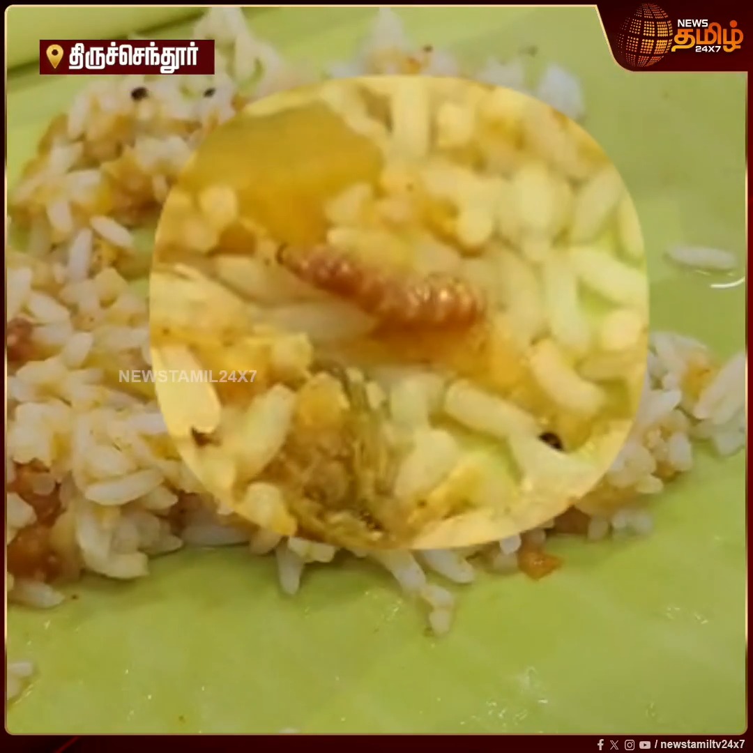 திருச்செந்தூர் முருகன் கோவில் அன்னதான சாம்பாரில் புழு! வீடியோ வைரல் - பக்தர்கள் அதிர்ச்சி FoodSafety | Worm |ViralVideo #NewsTamil24x7 #Tiruchendur #MuruganTemple #Annadhanam
