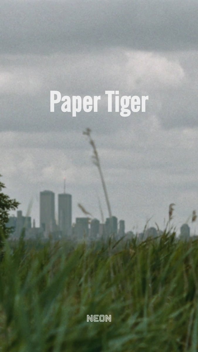 “A breathless thriller.” James Gray's PAPER TIGER, starring Adam Driver, Scarlett Johansson, and Miles Teller opens only in theaters November 13.