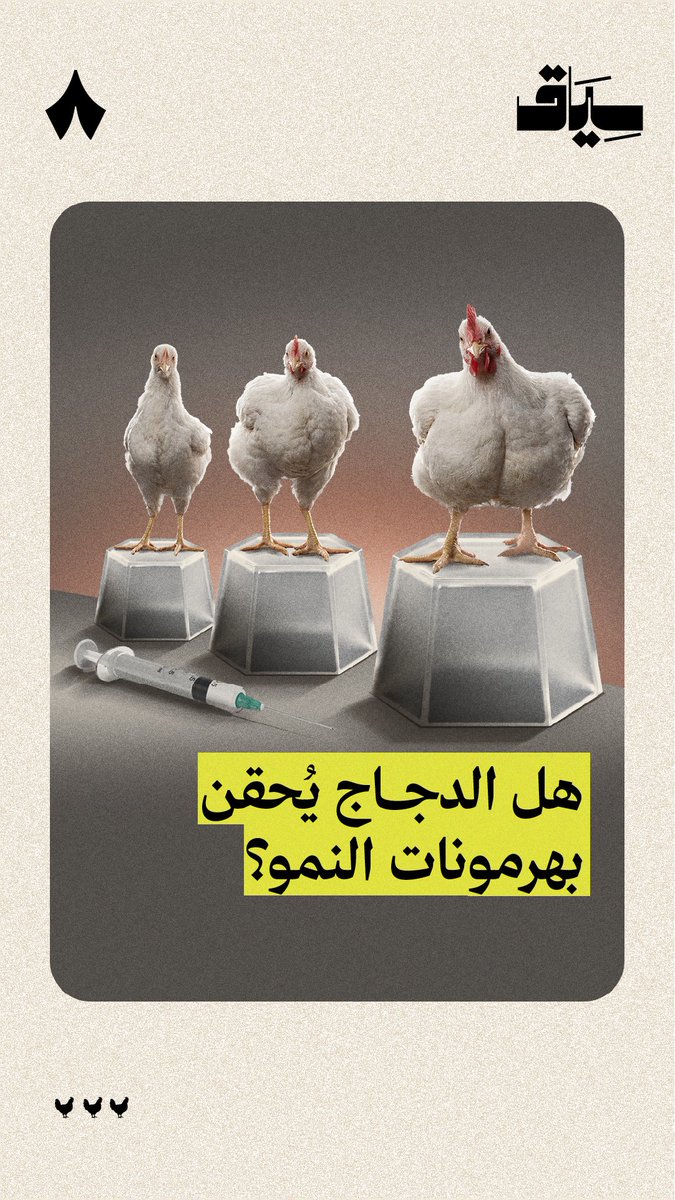 انتشرت في الآونة الأخيرة تحذيرات من الهرمونات والمضادات الحيوية المرتبطة بالدجاج وتأثيرها الصحي. ومع انتشار «نظام الطيبات» ترك كثيرون الدجاج والبيض وربطوا تحسنهم الصحي بذلك. في جديد #سياق نشرح كيف تغيّرت صناعة الدواجن من الانتقاء الجيني إلى الجدل حول المضادات الحيوية، وهل تستند هذه التحذيرات على أساس علمي أم مجرد شائعات؟