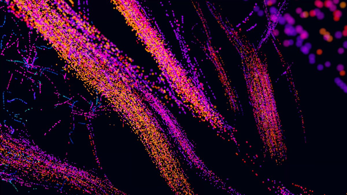 this is the epitome of cowboy science marley 📐 &amp; Lev Chizhov injected microbubbles into their bloodstreams in order to get these images of their brains I spent the last few weeks with Aleph playing with the aesthetics of brain data – enjoy