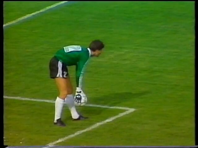You know what this world cup is missing? Someone throwing a cockerel on the pitch, and Barry Davies, joyous Barry Davies.