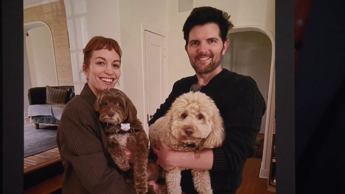 .britt lower wants her dog Bowtie to be besties with Adam Scott’s dog 🥹 #FallonTonight