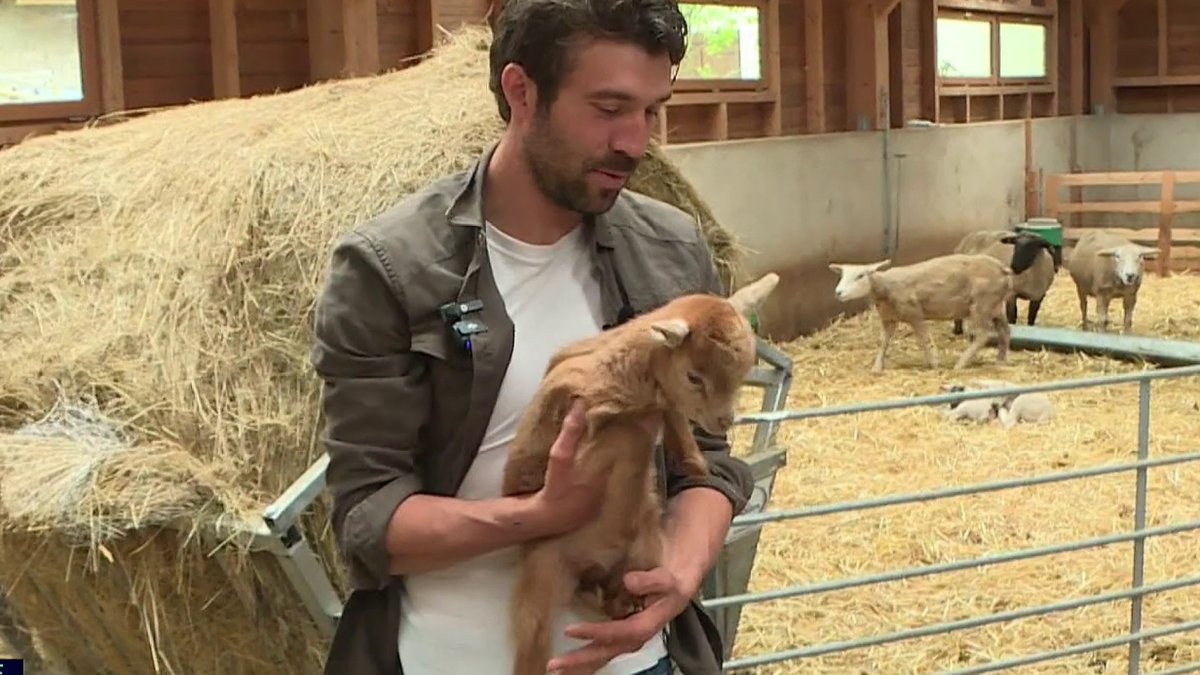 ⚽ #Stade2 | Bienvenue chez Thibaut Pinot Le Tour de France approche à grands pas. À cette occasion, nous avons retrouvé l'ancien grimpeur, Thibaut Pinot chez lui, dans sa ferme de Mélisey, en Haute-Saône.😍 ▶️ L'émission en replay :