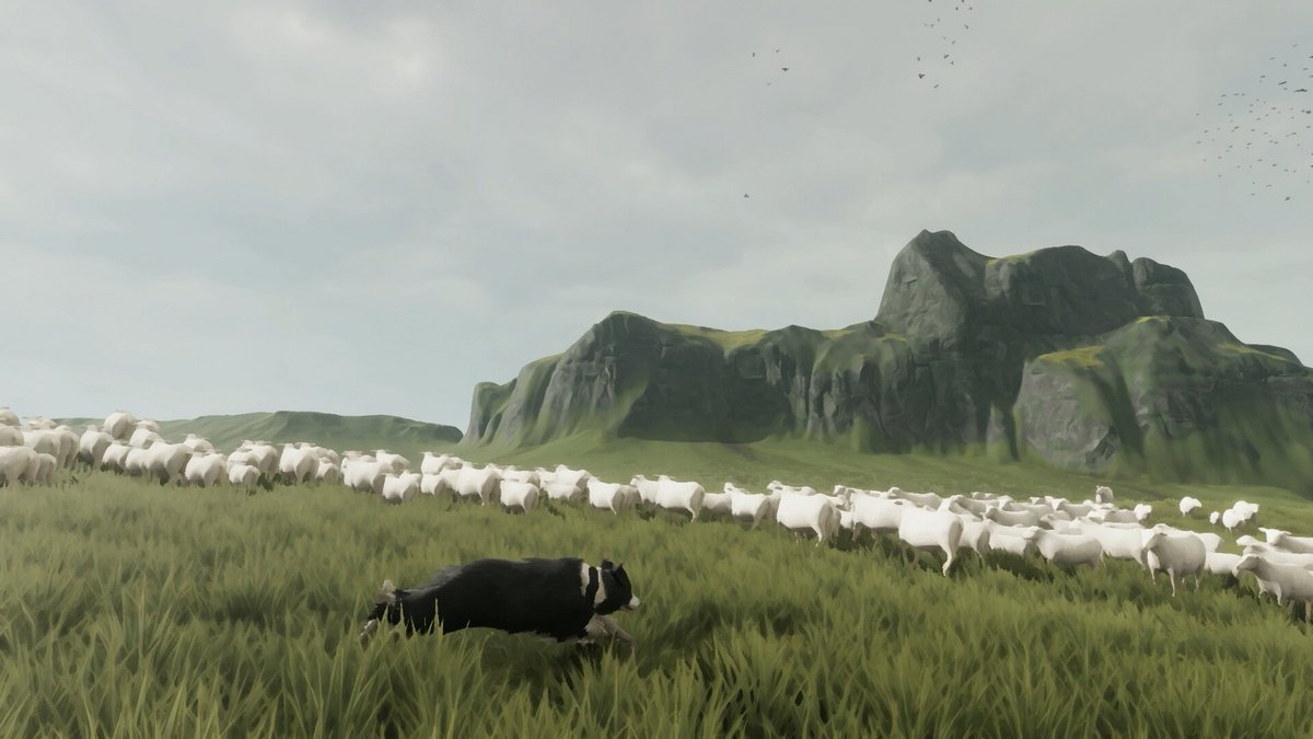 牧羊犬になって大草原を走り回れるゲーム『The Free Shepherd』発表。 羊を家に導く役目はあるけど、草原を犬になって元気いっぱい駆けまわれるだけでポイント高い。 かわいい犬になれるゲームなんて、いくつあってもいいですからね。