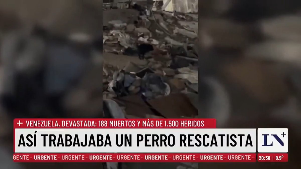 🔷 La historia de Tsunami: un perrito que sufrió maltratos, fue rescatado y hoy es un héroe que salva vidas entre los escombros de la tragedia. 📺 Así lo contó Luis Gasulla en +Nación