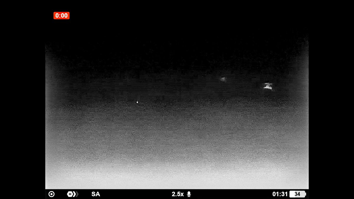 Here's an example of UAP movement that we've seen a number of times. This is in thermal (white hot) and was recorded at 2am. There is something about oscillation with certain classes of UAP. I've seen this behavior a few times in footage captured or received.