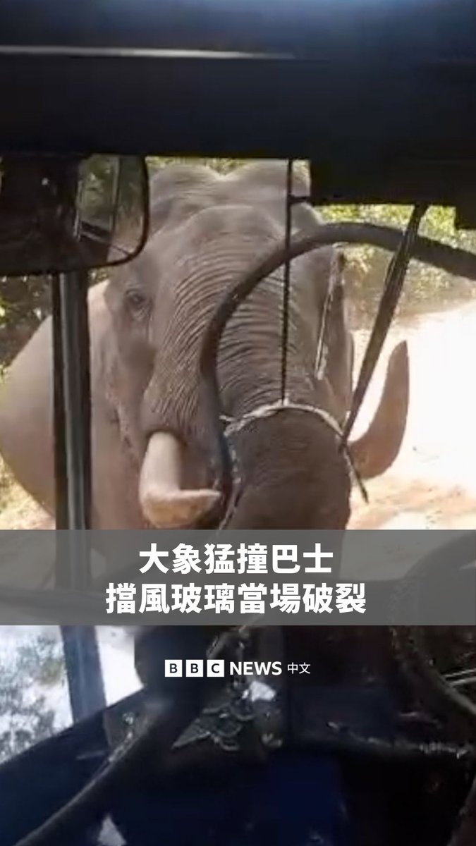 受到台风外围环流影响,台湾多地周四(6月25日)出现局部淹水。 虽然台风米克拉正朝日本方向移动,不会直接登陆台湾,但其外围云系为岛内多个地区带来豪雨,尤其是高雄与屏东。 目前尚未传出伤亡,但气象预报显示,台湾未来至少一周仍将持续降雨。高雄、屏东等地区部分学校周五也暂停上班上课。