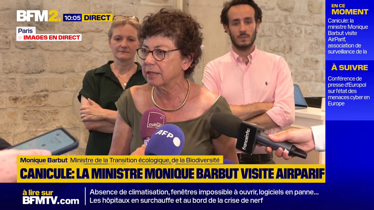 "Je suis horrifiée par les gens qui me disent qu'il n'y a qu'à mettre la clim' partout (...) Vous croyez que ça va éviter un feu de forêt, la mort des animaux ? ça n'est pas de l'adapation, c'est une mesure d'urgence", déclare la ministre Monique Barbut #BFM2