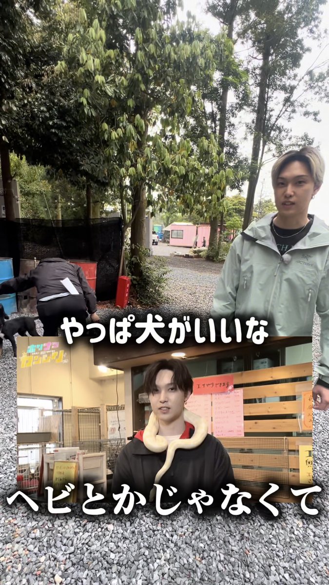 💚SNS限定動画💚 やっぱり ペットにしたいのは…？🐶🏡 #FANTASTICS #堀夏喜🦙 #ホリナツのカンムリ(仮)👑