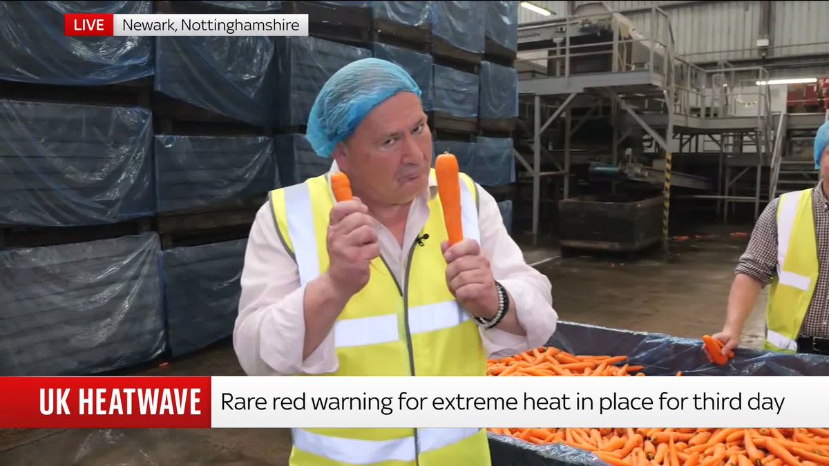With the June heat record being broken for a second day in a row on Thursday, Frazer Maude visits a carrot processing factory in Nottinghamshire to see how the weather has impacted the orange root vegetable 📺 Sky 501, Virgin 602