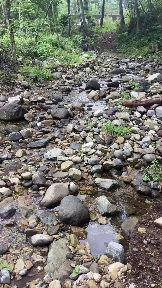 川の怖さが一瞬で伝わる映像。この増水スピードは思考停止するわ