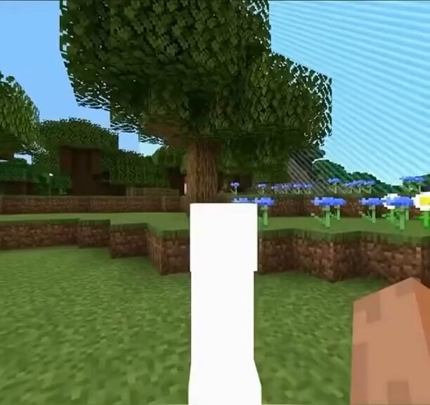 The craziest minecraft gameplay in the world