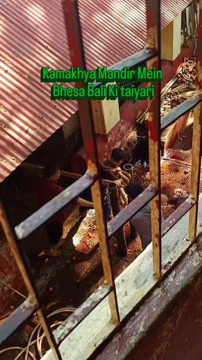 कामख्या मंदिर में भैंसे की बलि देकर अंधभक्त बड़े चाव से भैंसे के मीट को प्रसाद समझ के ग्रहण करते है ।