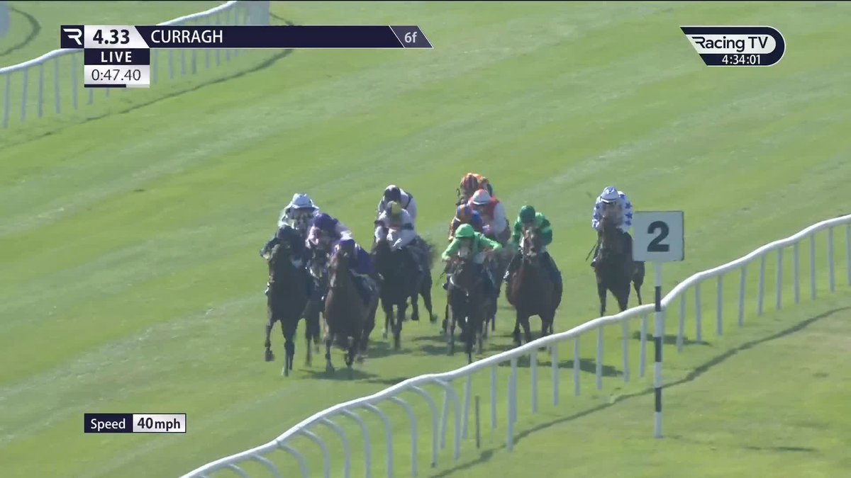 👀 €2.3m buy Abraham Lincoln (Wootton Bassett) has all the entries and makes the perfect start for Aidan O'Brien and Ryan Moore at The Curragh Racecourse