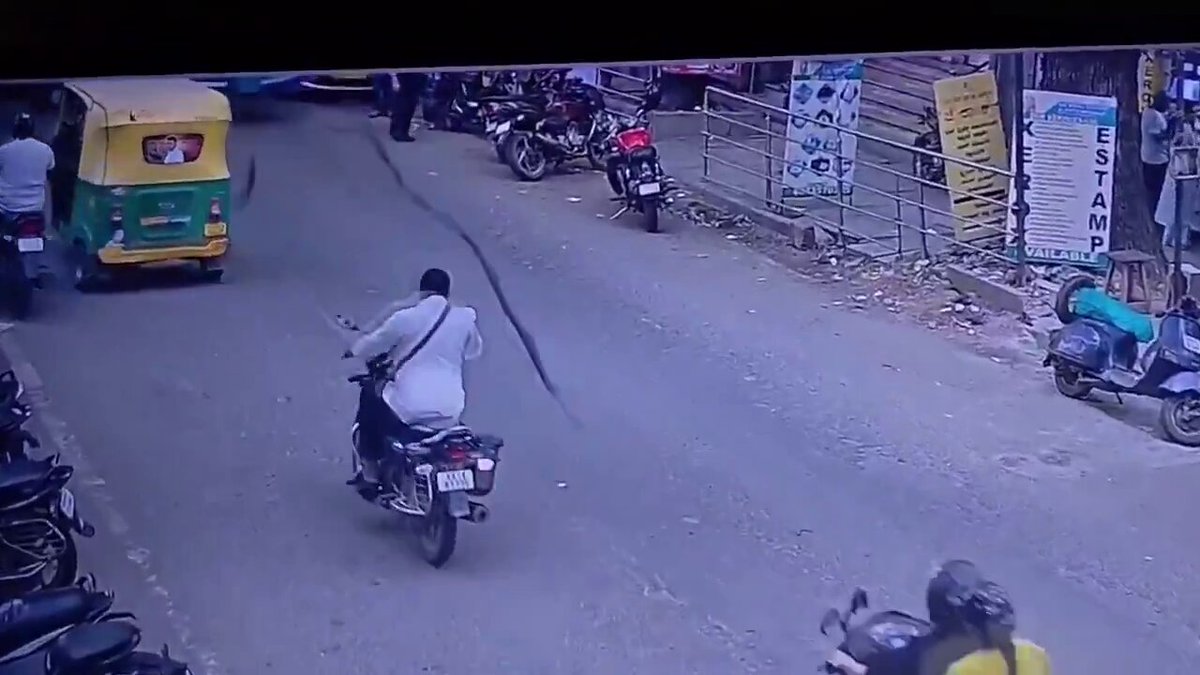 Hindistan'da bir motosiklet sürücüsü, başına ağaç dalı düşmesi sonucu komaya girdi.