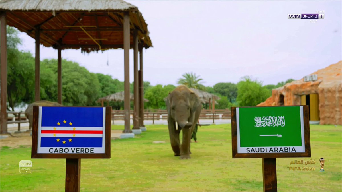👀🐘 توقعات الفيلة ✍️ من هو المنتخب الذي اختاره الفيل للفوز في مواجهة الرأس الأخضر والسعودية؟ #كأس_العالم2026 | #مونديال2026 | #كأس_العالم #beINWC26 | #FIFAWorldCup2026 | #FIFAWorldCup | #beINSHOW | #beINSQUAD
