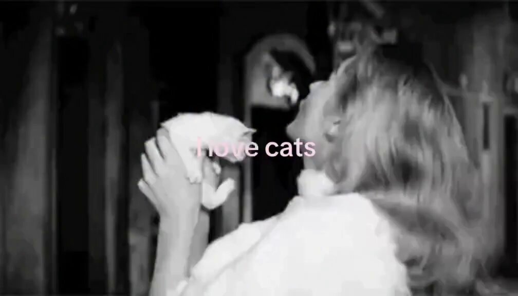 i love u like i love cats