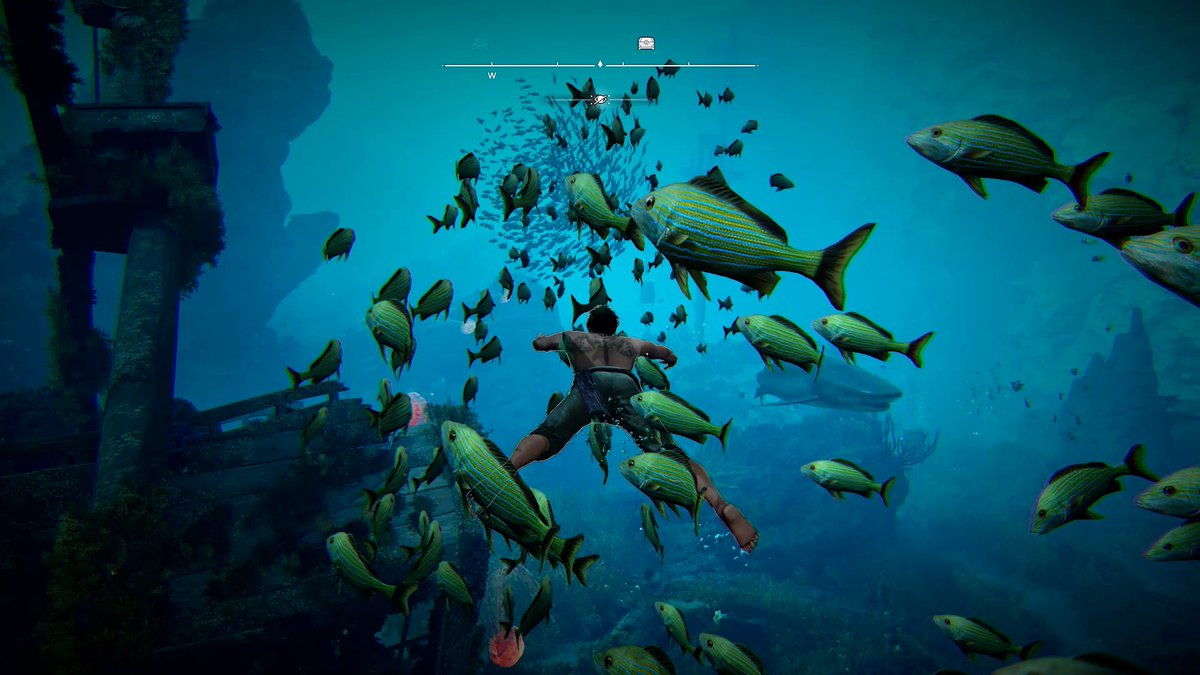 Fish are friends... Not food. 🦈 Need to stay off a shark's radar? Dive into a dense school of fish and sneak by undetected. #AssassinsCreed