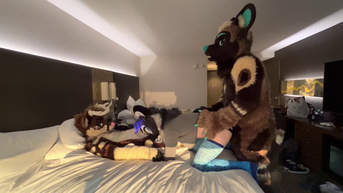 Stuck between Breeder Buck 🔜 MP and ~SpicySonarVision~ 🔞; only thing a little kitty like me can do is take it 🩵 #FursuitFriday #murrsuit #nsfw #sizedifference #cuminside
