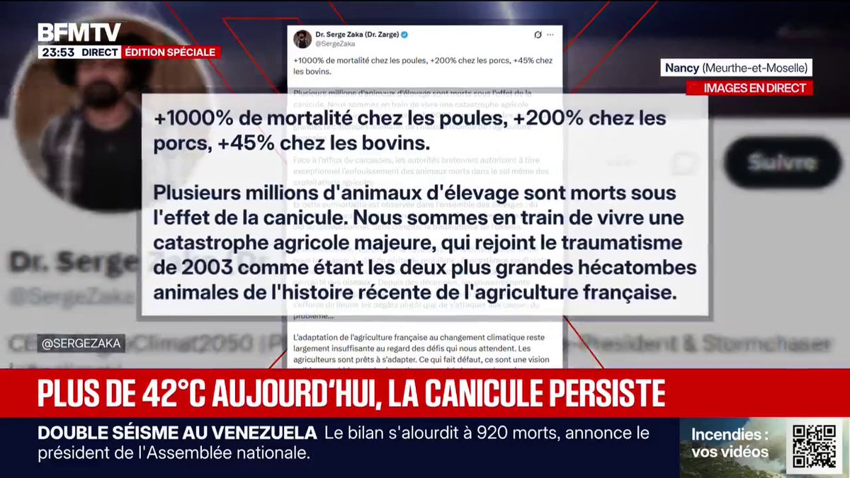 + 1.000% de mortalité chez les poules, + 200% chez les porcs ... L'hécatombe dans les élevages à cause de la canicule