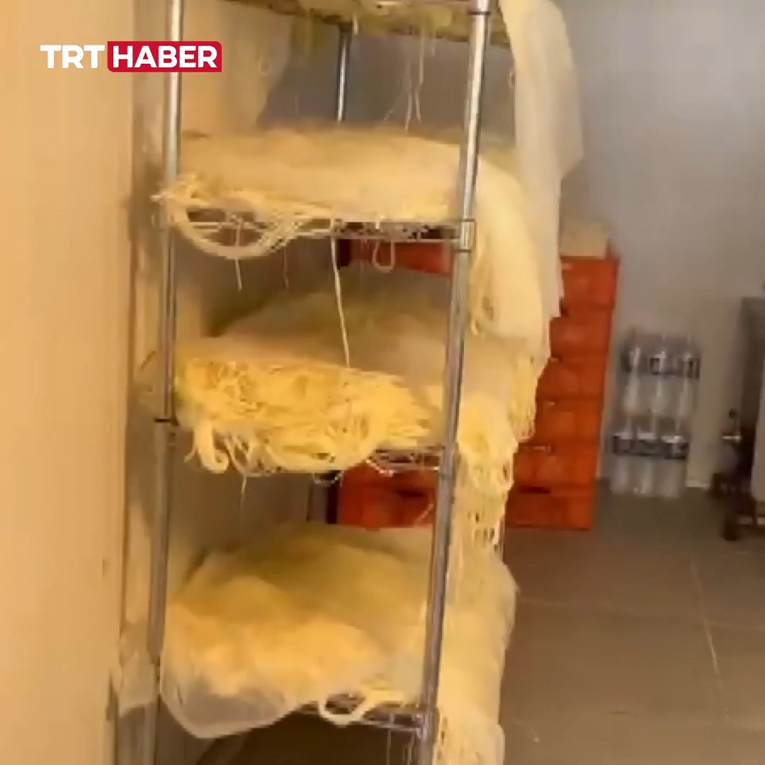 Ankara'da bir işletmede 9 ton bozuk süt ve süt ürünü ele geçirildi. İşletme faaliyetten men edildi, 1 şüpheli gözaltına alındı.