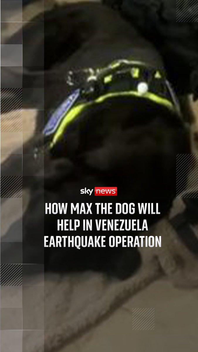 A British charity is heading to Venezuela to help with the rescue after two strong earthquakes devastated the nation. A special search dog, Max, is also a member of the team. live updates: