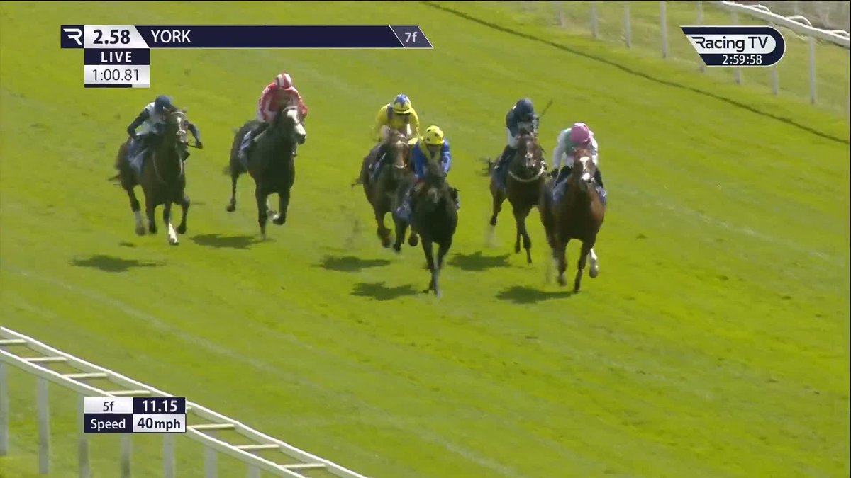 NOT just a one-hit wonder! 🔥 Qirat, winless since causing an almighty shock in last year's Sussex Stakes, sees off all-comers in the Group 3 Al Basti Equiworld Dubai Criterion Stakes York Racecourse. Juddmonte | Ralph Beckett