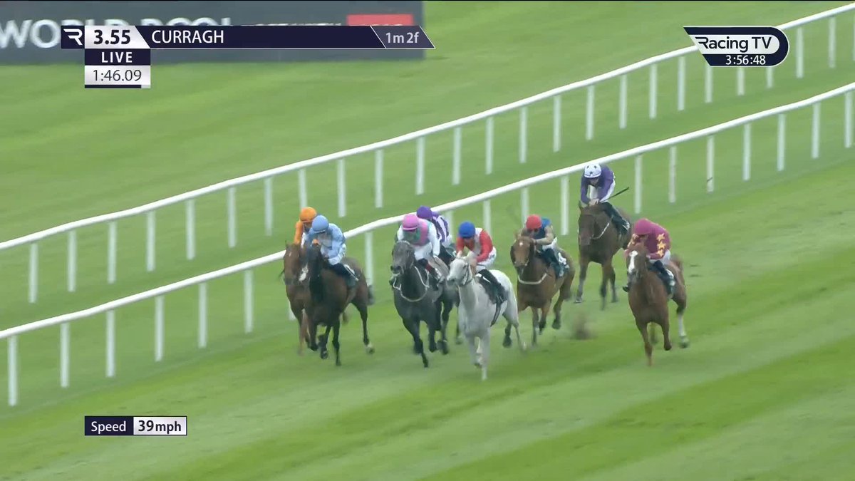 A GROUP 1 BREAKTHROUGH 🎇 𝐄𝐬𝐭𝐫𝐚𝐧𝐠𝐞 wins at the top level for the first time with success in the Paddy Power Pretty Polly Stakes for David O'Meara and Cheveley Park Stud 🔴⚪️🔵