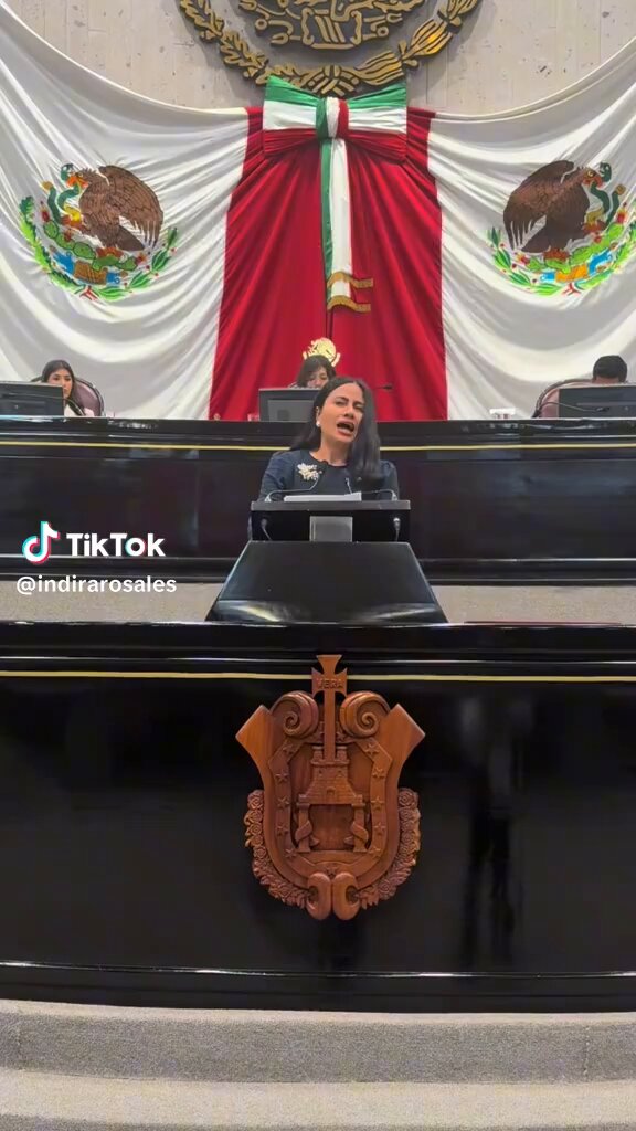 Aplausos de pie para Indira Rosales. Así se les pone el hocico en la nuca a los #ZurdosDeMierda del #NarcoPartidoTerroristaMorena y rémoras sin tocarles un pelo.