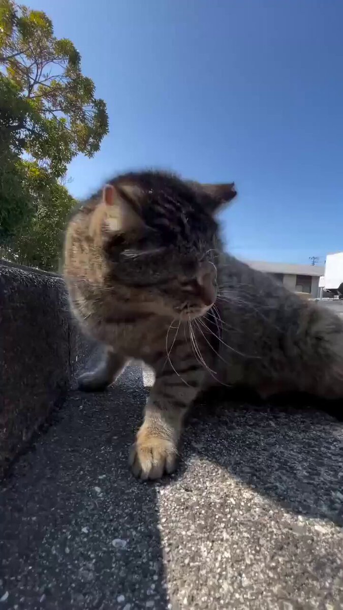 oh yeah, that's the spot ❤️😂