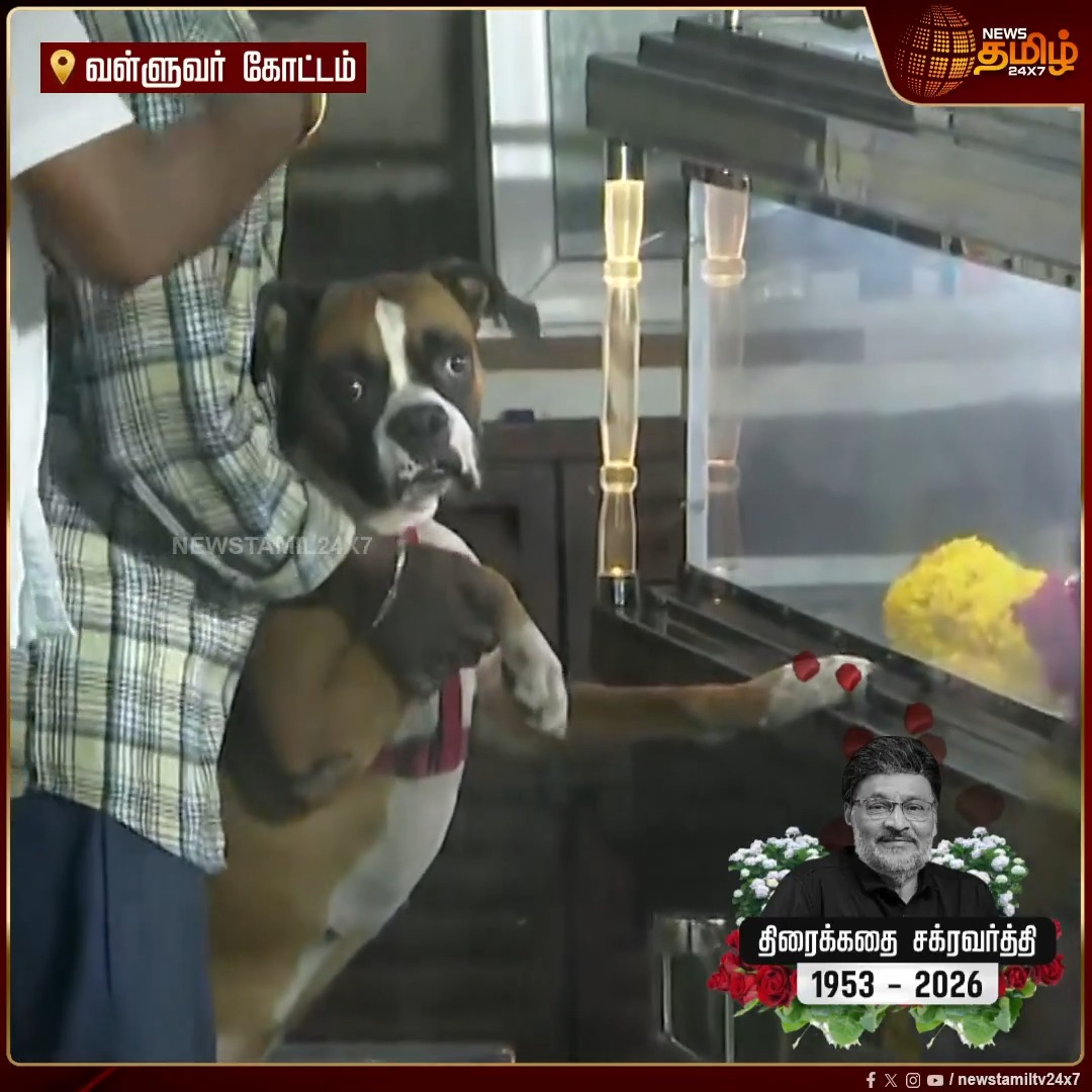 பாக்யராஜ் மறைவு.. பாசப் போராட்டம் நடத்திய வளர்ப்பு நாய்.. காண்போரின் கண்களில் கண்ணீர் வர வைக்கும் வீடியோ | RIPBhagyaraj | TamilCinema | Kollywood | RIPBhagyaraj #Newstamil24x7 #KBhagyaraj