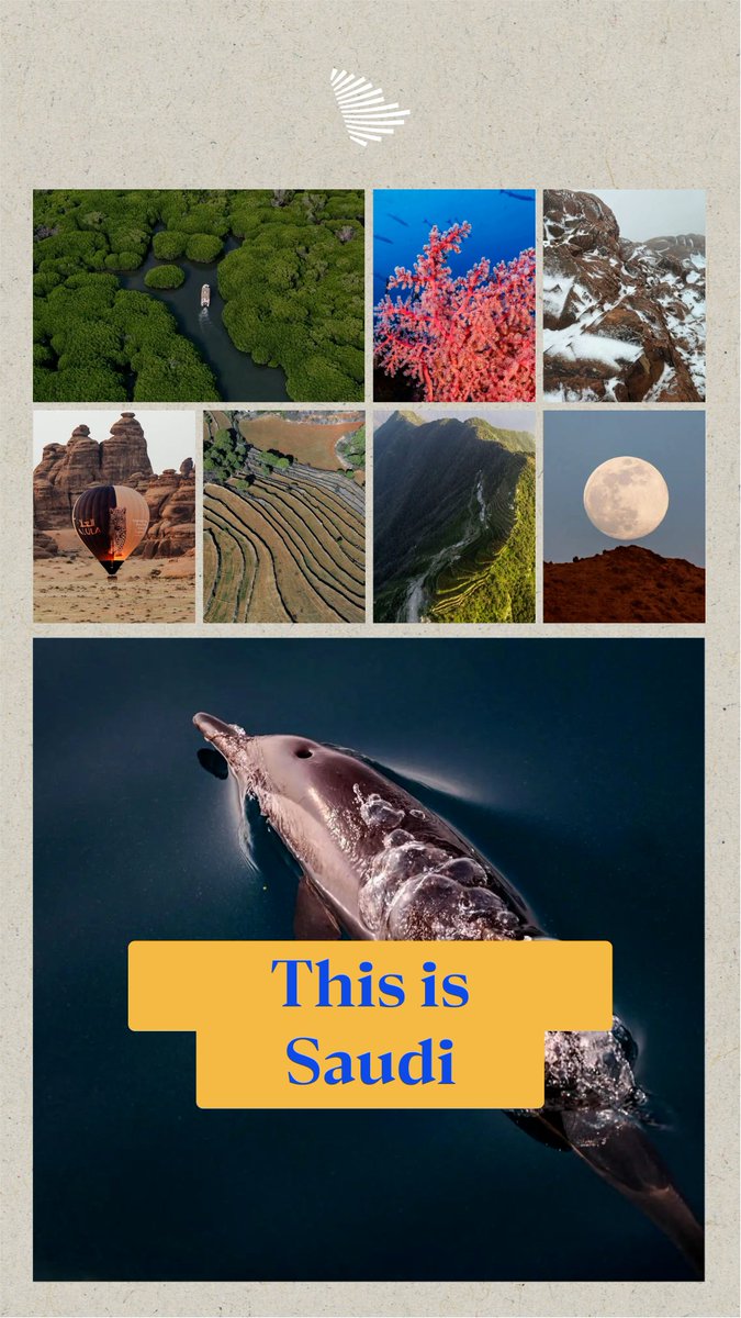 Summer Your Way | Beyond what you've heard, beyond what you've imagined, there's a place that defies expectations. This is Saudi Arabia. Visit Saudi