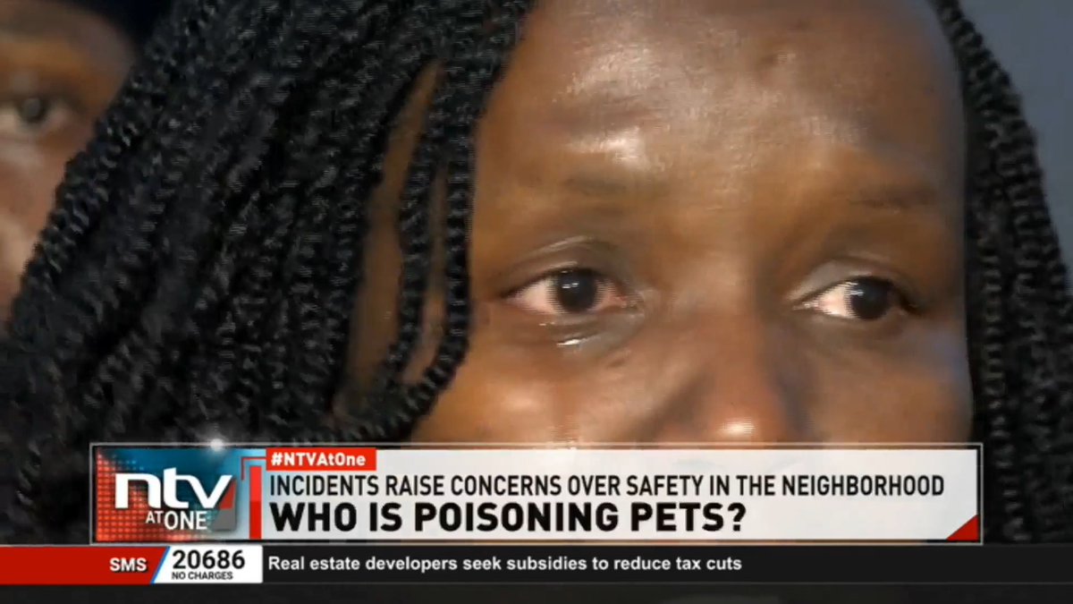 Who is killing Utawala pets? Utawala residents in agony, search for answers over a series of unexplained pet deaths. #NTVAtOne Hellen Aura🇰🇪
