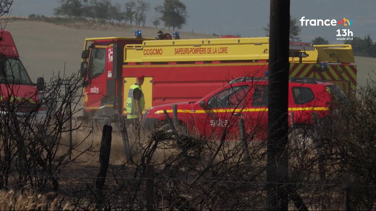 🔥🌳La France, en "alerte maximale" sur les feux de forêt, selon le ministre de l'Intérieur. La chaleur de ces derniers jours a entraîné une forte sécheresse et 7 000 hectares ont déjà brûlé en France contre 4 200 l’année dernière à la même période. #JT13H