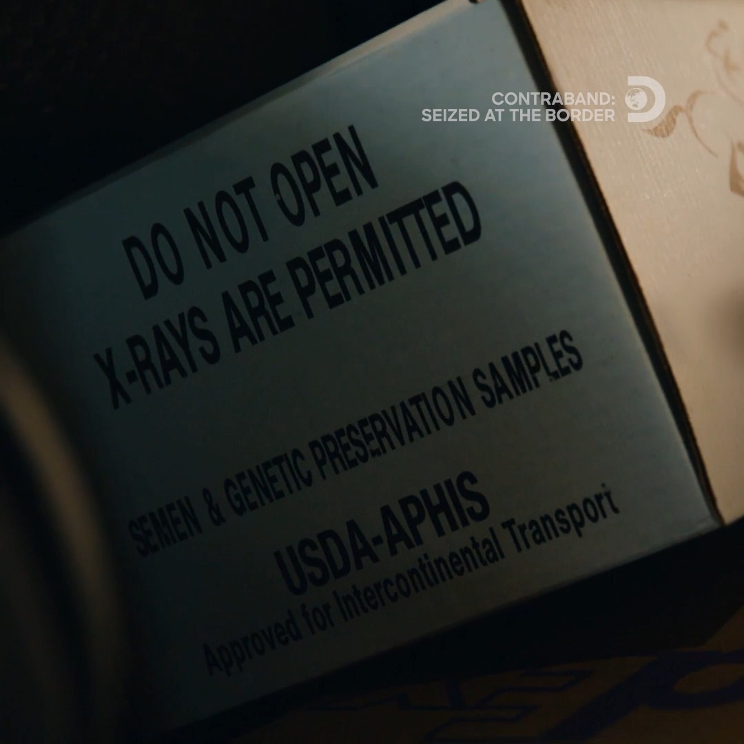Officer suspects this “champion bulldog semen” might actually belong to a horse… 👀 Find out more on #Contraband: Seized at the Border, Monday at 8P on Discovery.