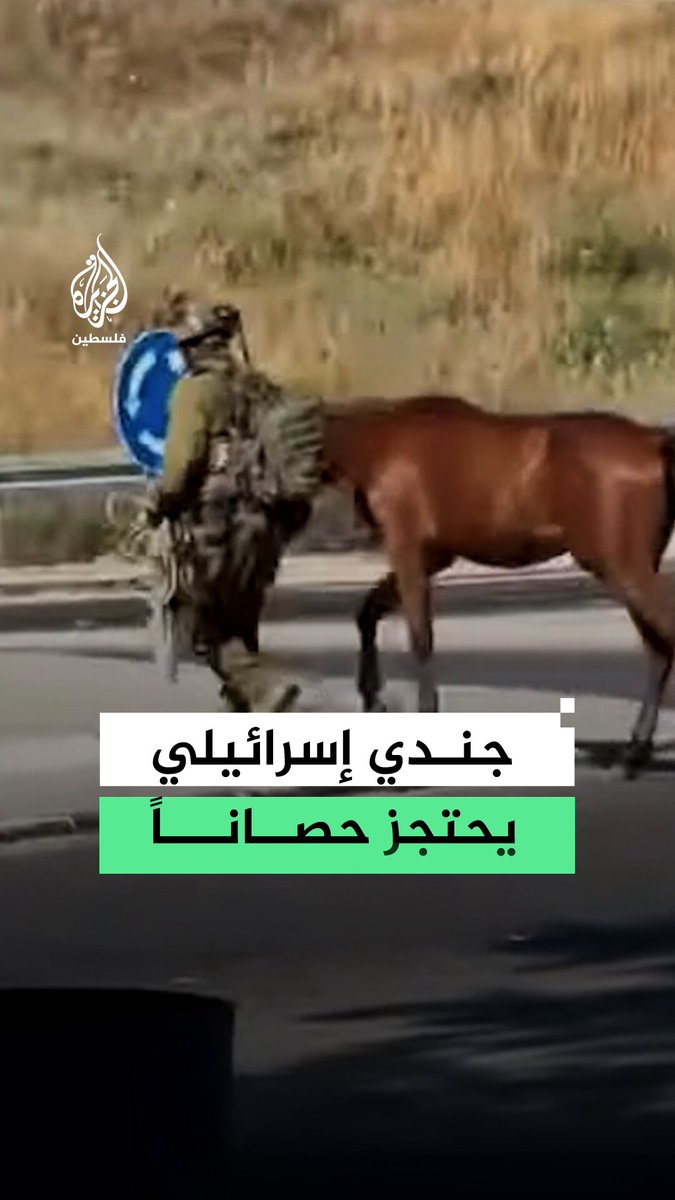 جندي إسرائيلي يحتجز حصانا في بلدة حوارة جنوب نابلس #فيديو