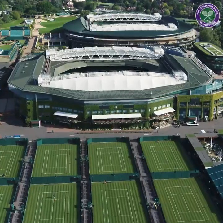 💚 La belleza infinita de Wimbledon