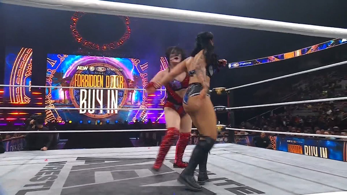 Maika has defeated Skye Blue in qualifier #6 of the Survival of the Fittest!!! MAIKA IS THE FINAL PARTICIPANT FOR THE TBS TITLE MATCH ON WEDNESDAY. 🔥