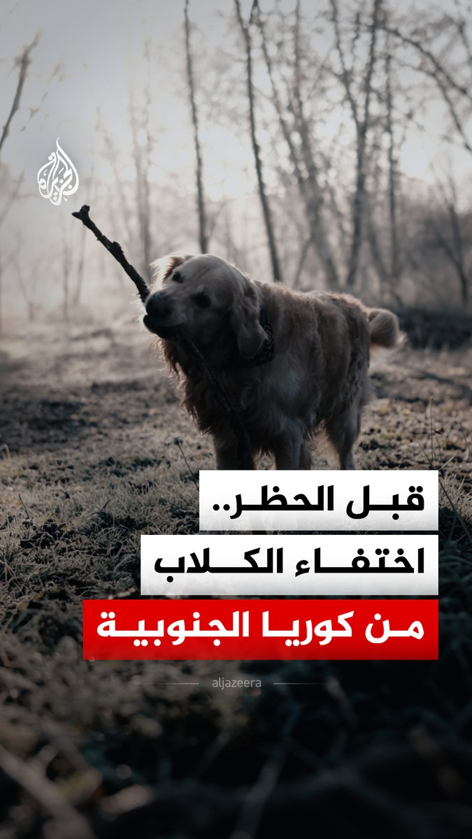 مئات الآلاف من الكلاب تختفي في كوريا الجنوبية قبل دخول حظر لحوم الكلاب حيز التنفيذ.. ما القصة؟ #الجزيرة_رقمي