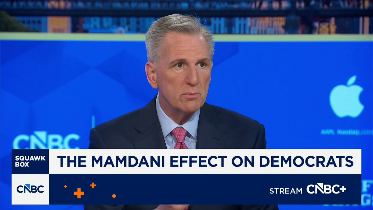 "I would argue he's the leader of the Democratic party right now," says former House Speaker Kevin McCarthy of Mayor Zohran Kwame Mamdani Mamdani: