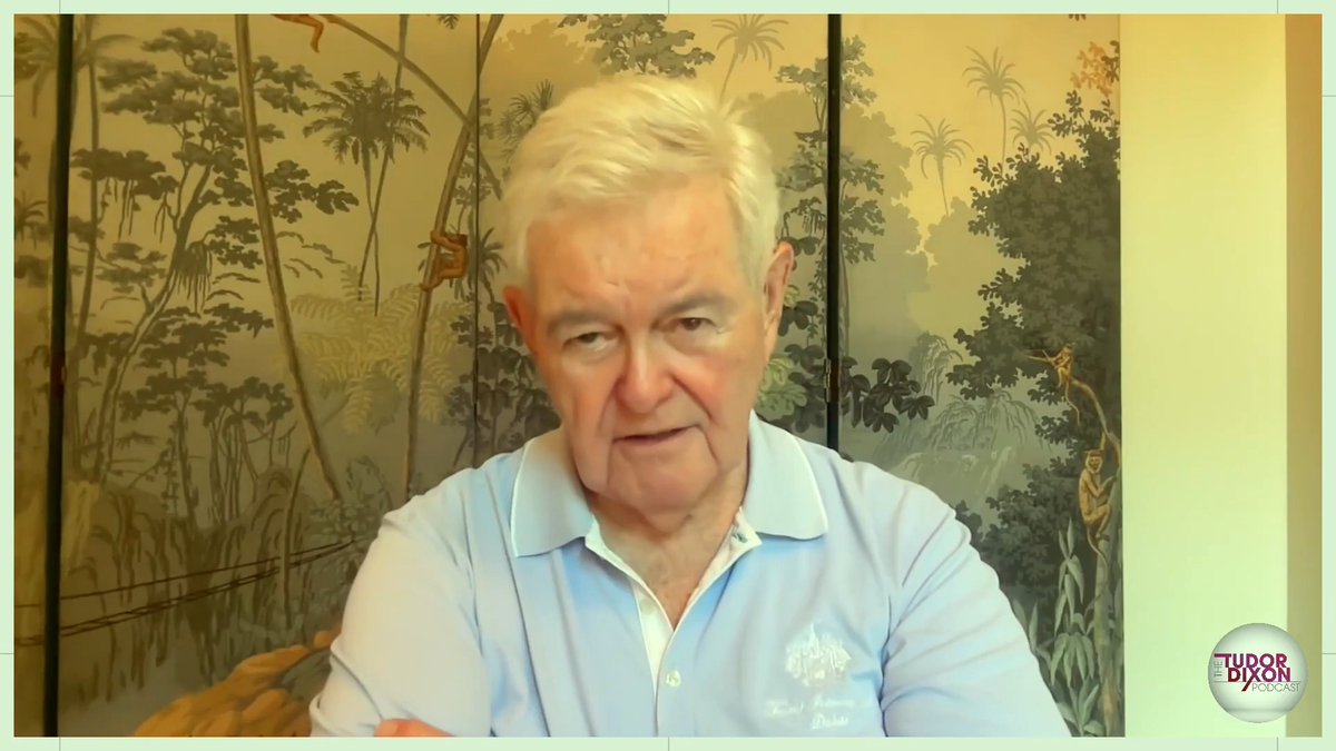 "President Trump is 100% right about the SAVE Act." Newt Gingrich questions why Republicans are deliberately breaking with him.